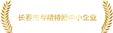 獎項(xiàng)